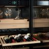 asko wine cabinet_vanto-pikark