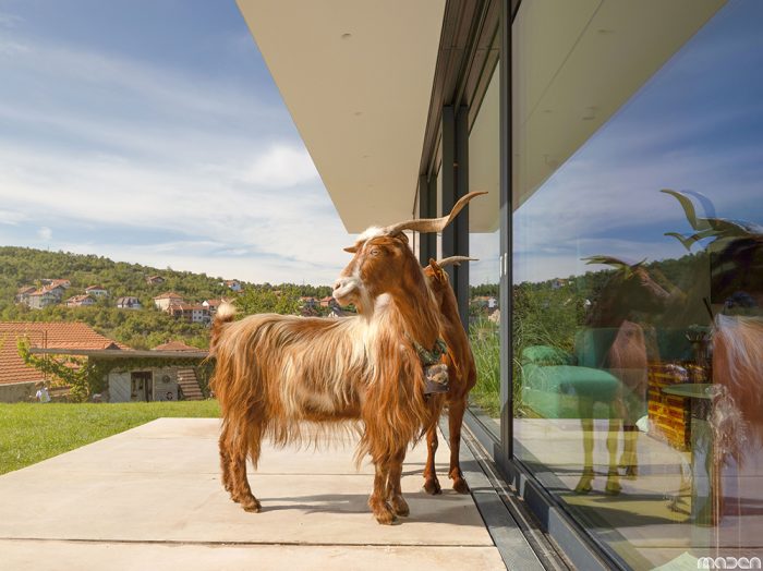 Maden-group-the-red-goat-villa-project-the-goat