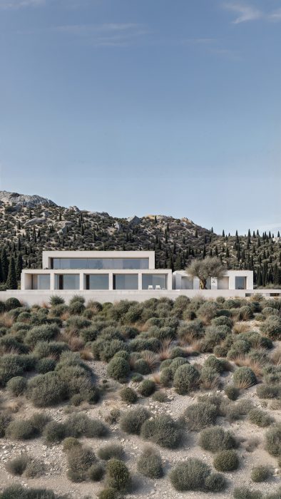 andoni-design-vila-pikark-projektide-pamje-ne-terren