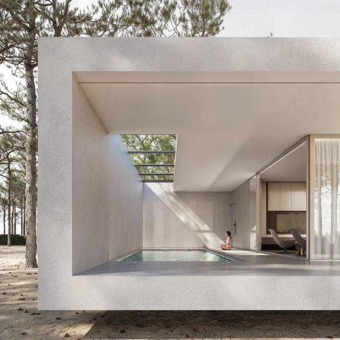 andoni-studio-airbone-villa-projekt-pikark -render