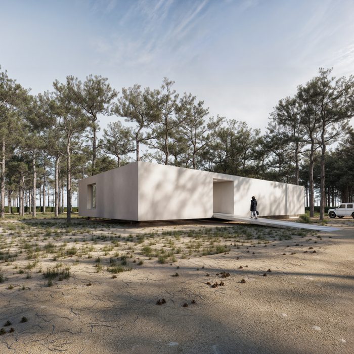 andoni-studio-airbone-villa-projekt-pikark -render