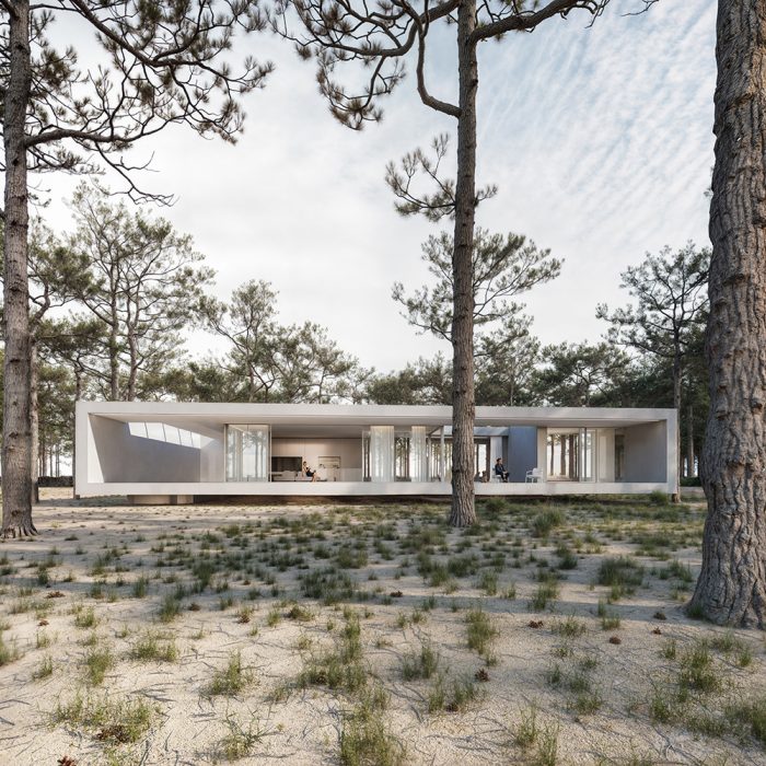 andoni-studio-airbone-villa-projekt-pikark -render