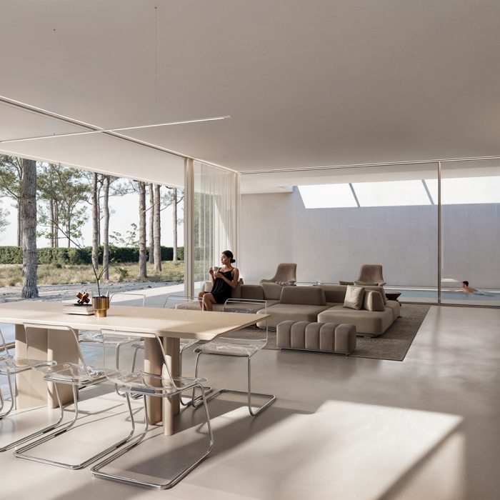 andoni-studio-airbone-villa-projekt-pikark -render