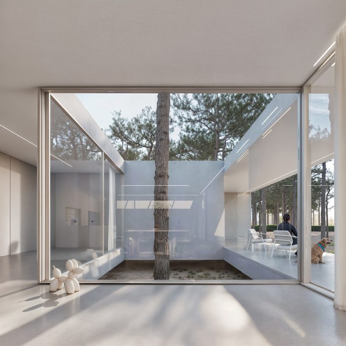 andoni-studio-airbone-villa-projekt-pikark -render